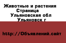  Животные и растения - Страница 10 . Ульяновская обл.,Ульяновск г.